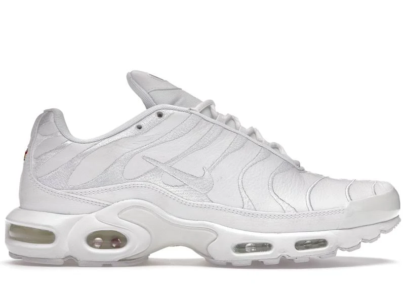 Nike Air Max Plus TN 2